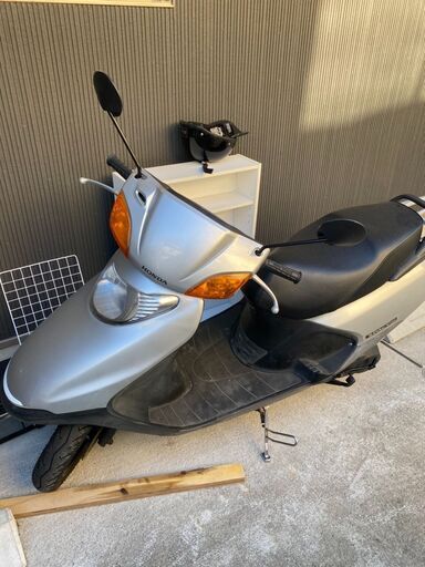 鹿児島市　スペイシー１００　人気の２種