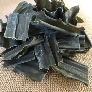 日高昆布 一口カット昆布100g お試し【特上浜】井寒台産