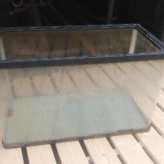 60センチの水槽の画像