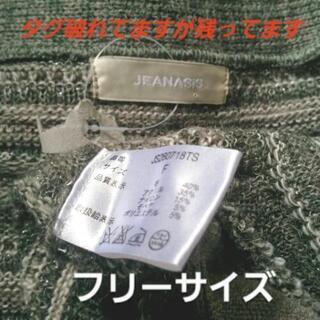 ジーナシスの画像