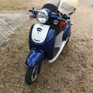 バイク選びのコツ教えてください！