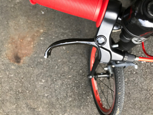 ブリヂストン　自転車　子供用　レベナ