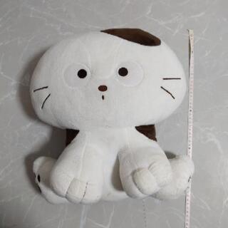 ぬいぐるみ　うちのタマ知りませんか?
