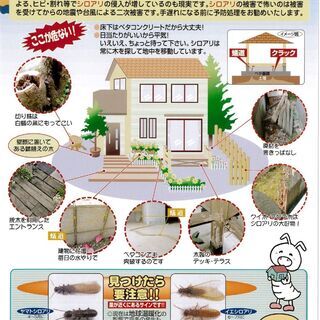 白蟻・害虫からお家を守るプロ集団
