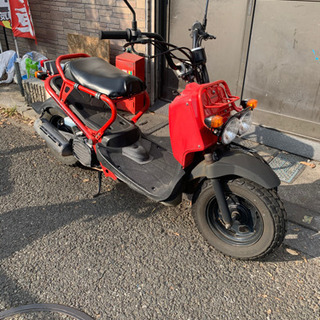 ズーマー FI車両‼️ スペシャル・エディション‼️