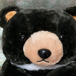 クマのぬいぐるみ 大の画像