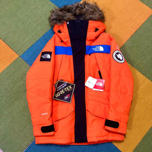 【美品】ノースフェイス　アンタークティカ　2015年限定色