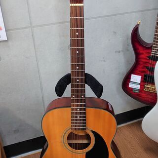 Stafford SF200F-N】アコースティックギター販売中！