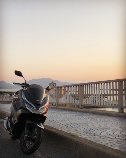 PCX125 ﾜﾝｵｰﾅｰ❗限定色❗現車確認必須