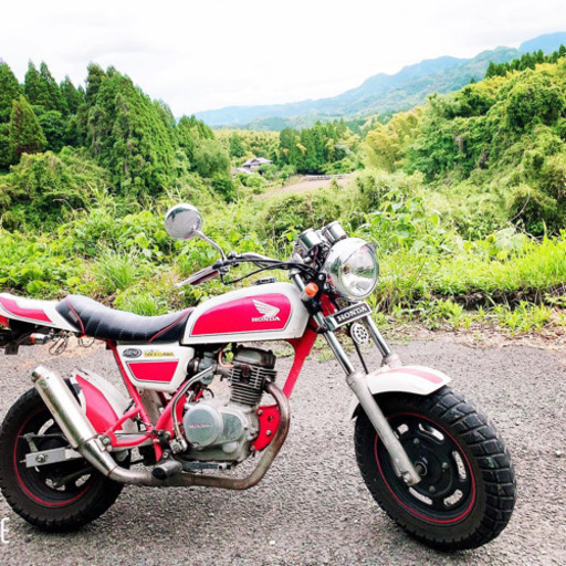 HONDA エイプ88cc 稼働車 売ります