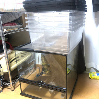 グラステラリウム4545 コンパクトトップ　パネルヒーターセット グラステラリウム4545 コンパクトトップ パネルヒーターセット