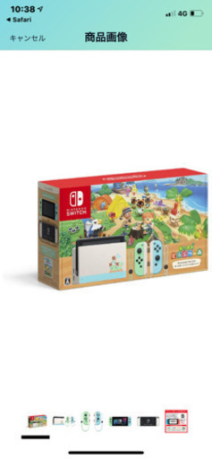 Nintendo Switch どうぶつの森セット