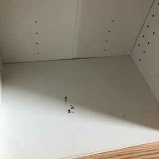 更新）¥0 白カラーボックスの画像