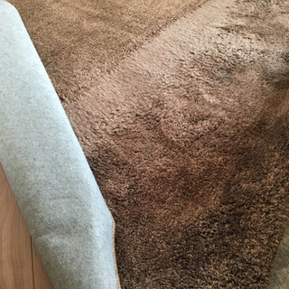 カーペット　ニトリ購入品