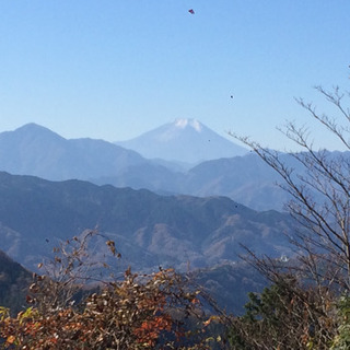 お山に行ってくれる人募集