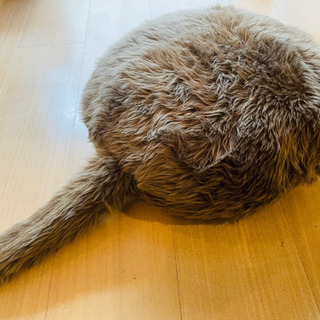 【値下げ】しっぽ付きクッション クーボ　Qoobo フレンチブラウン　※ジャンク品の画像