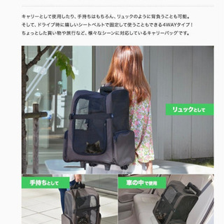 ペットキャリー4way