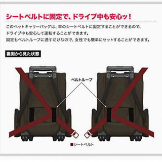 ペットキャリー4wayの画像