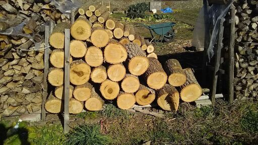 ナラ薪・玉切り材（長さ40cm）