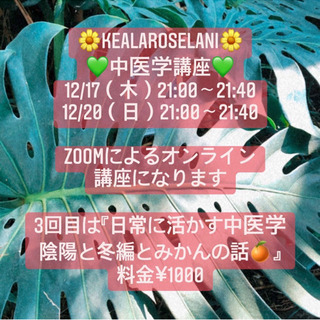 中医学オンライン講座　「日常に活かす中医学 陰陽と冬編とみかんの...
