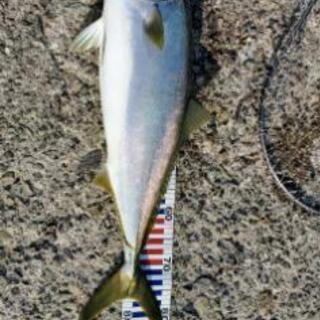 釣り仲間・釣り情報交換などなどゆるーくメンバー募集！初心者やファ...