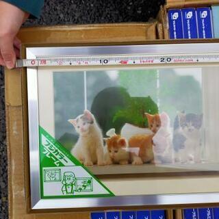 額縁・ワイド６切・新品・写真・賞状・ウォールインテリア