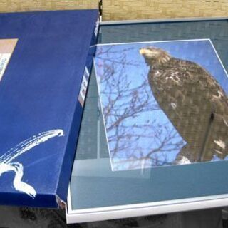 額縁 半切 古都シリーズ鎌倉 ワシ 写真フレーム 絵画など コニ...