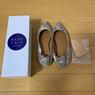 プラステ　パイソン柄　パンプス
