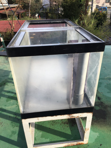 大型水槽と専用台のセット
