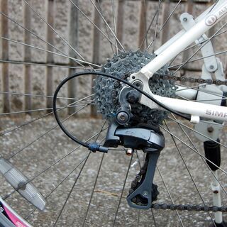 レディース】FUJI クロスバイク Absolute 3.0 適応身長155cm
