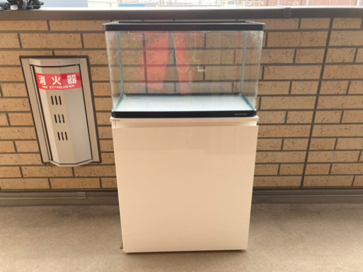 【お取引決定】【おまけつき】中古60cm水槽&水槽台セット
