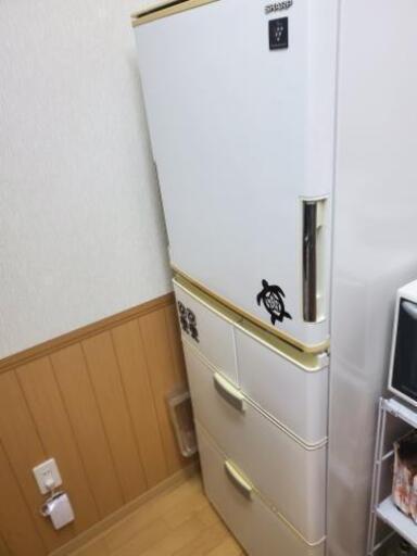引っ越しキャンペーン380L冷蔵庫だよ