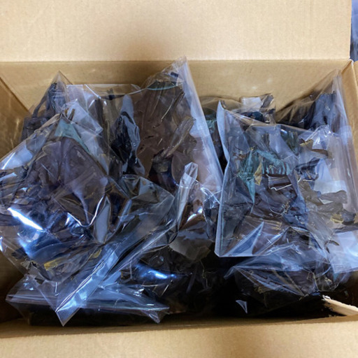 こぶ〆 Amazon.co.jp: [冷凍] マリンフーズ お刺身職人 かれい昆布締め 60g(10