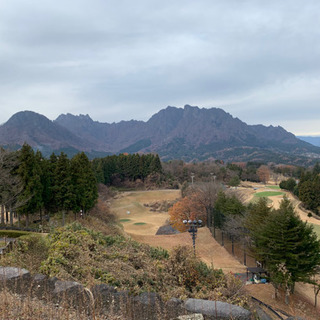 ゴルフやりましょう⛳️🏌️‍♂️