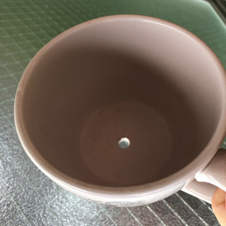 多肉植物の寄せ植え　鉢植え　鉢付き　受皿付き　ハオルチア　エケベリア　群生　多肉植物 の画像