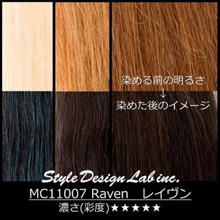 【新品未使用】マニックパニック　レイヴンの画像