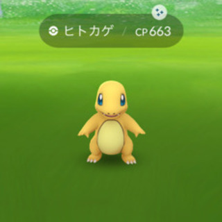 ポケモンカード対戦仲間募集中！！