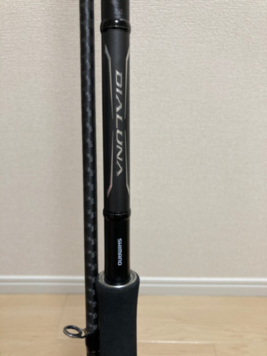 マリンスポーツ SHIMANO DIALUNA S110M