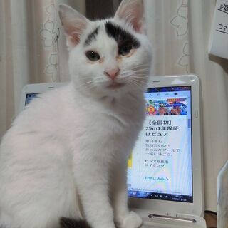 再投稿4ヶ月の男の子