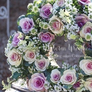 【募集】ハボタンリースワークショップの画像