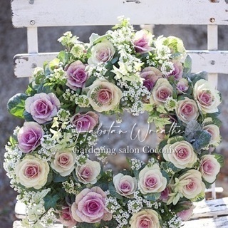 【募集】ハボタンリースワークショップの画像