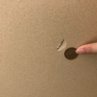 だんぼっちトールの画像