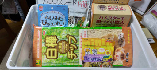 ハムスター セット