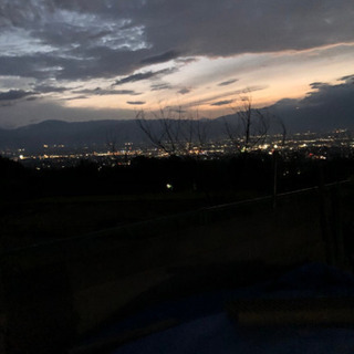 夜に活発に活動してるグルです(*´罒`*)