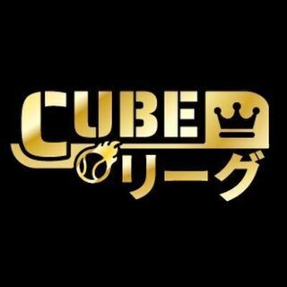 １２月２０日（日）≪明治神宮球場≫大会カメラマン・大会スタッフ　...