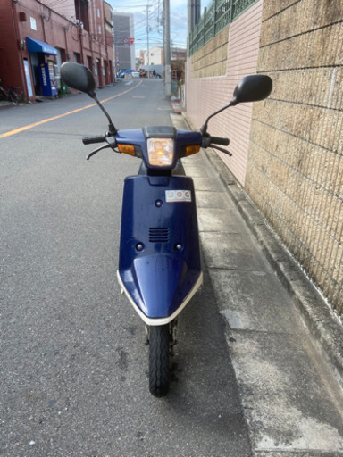 ペリカンジョグ！