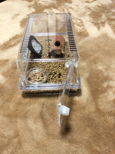 爬虫類ケージセット　値引き中