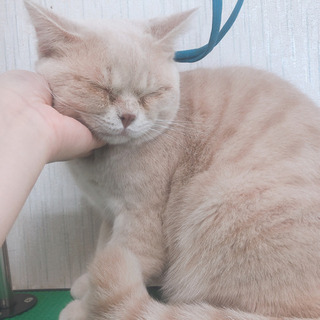問い合わせありがとうございます、一旦募集を止めさせてもらいます🙇‍♀️