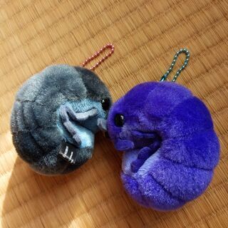 ダンゴムシ マスコット2点セット