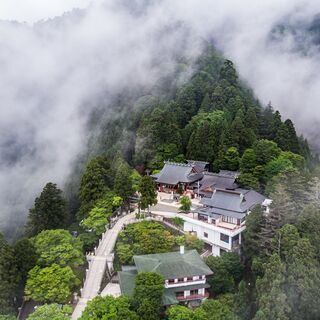 【参加費無料★参加特典あり】丹沢・大山オンラインツアー（全5回）の実施